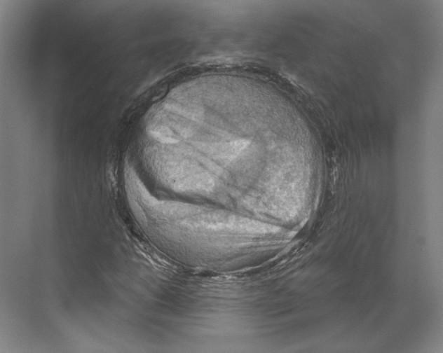 X0000068851206200606021726