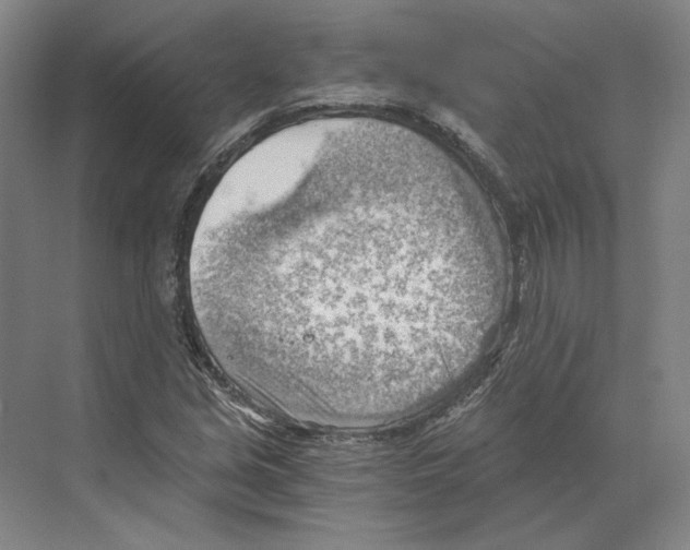 X0000068851213200606021726