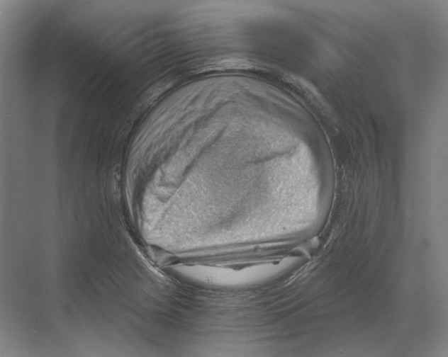 X0000068851225200606021726