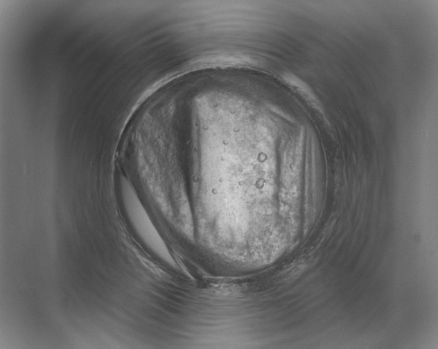 X0000068851226200606021726