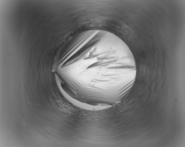 X0000068851250200606021726
