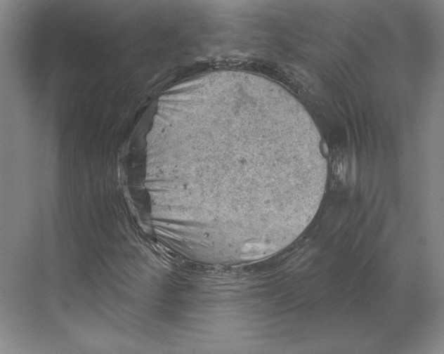 X0000068851252200606021726