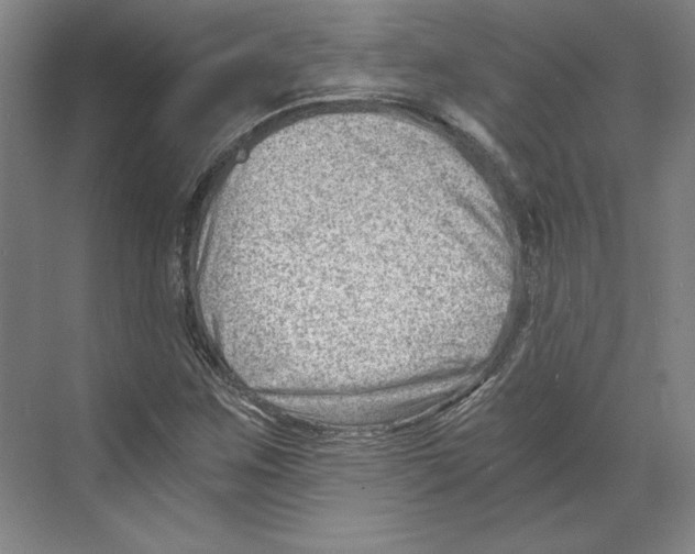 X0000068851259200606021725