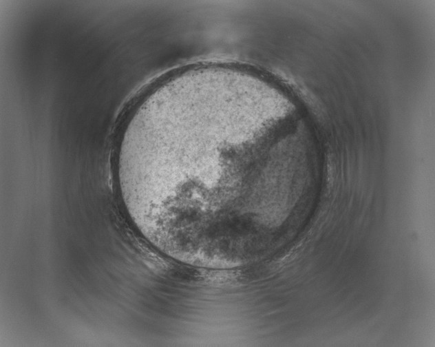 X0000068851262200606021725