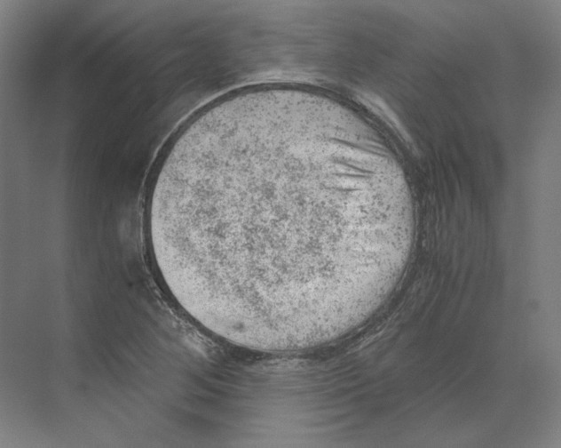 X0000068851268200606021725