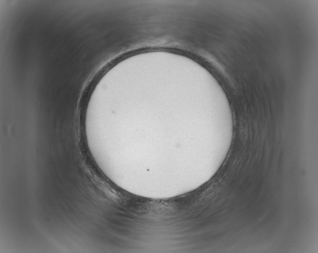X0000068851270200606021725