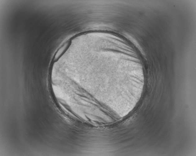 X0000068851277200606021725