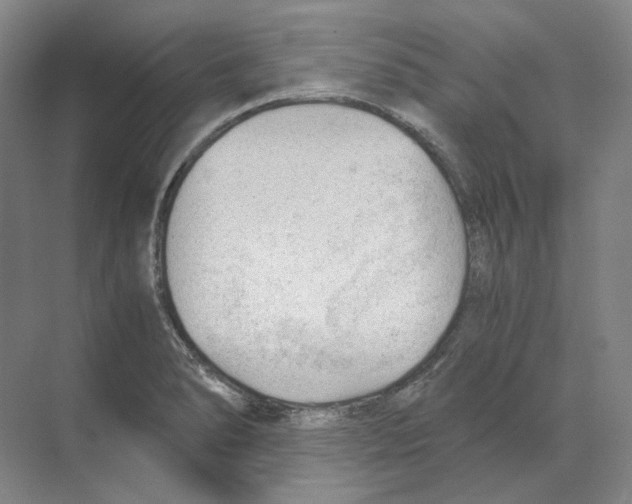 X0000068851278200606021725