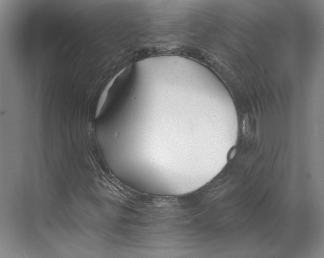 X0000068851299200606021724