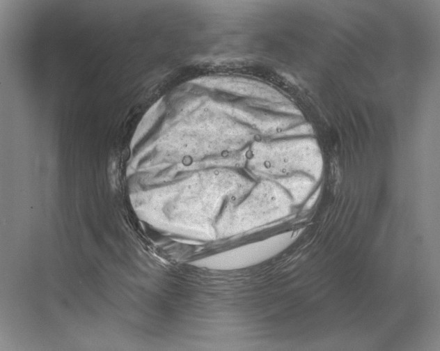 X0000068851300200606021724