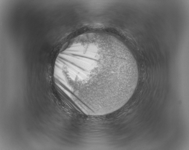 X0000068851301200606021724