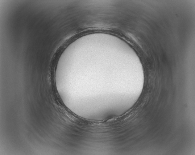X0000068851307200606021724