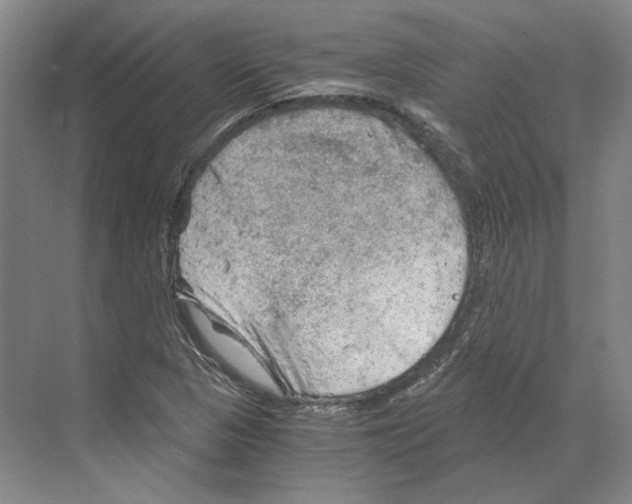 X0000068851313200606021724