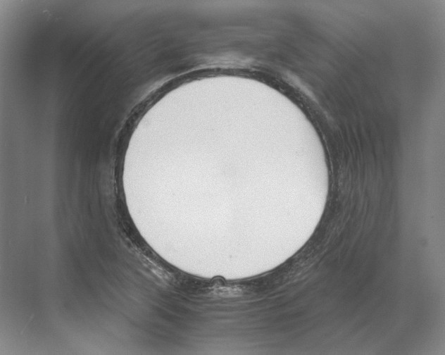 X0000068851315200606021724