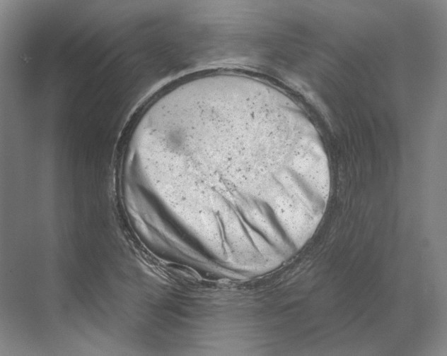 X0000068851316200606021724