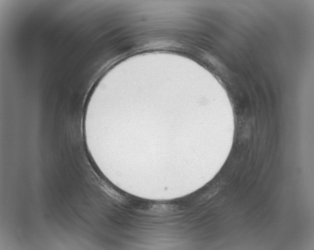 X0000068851322200606021724