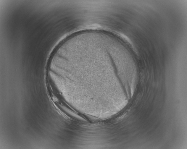 X0000068851326200606021725