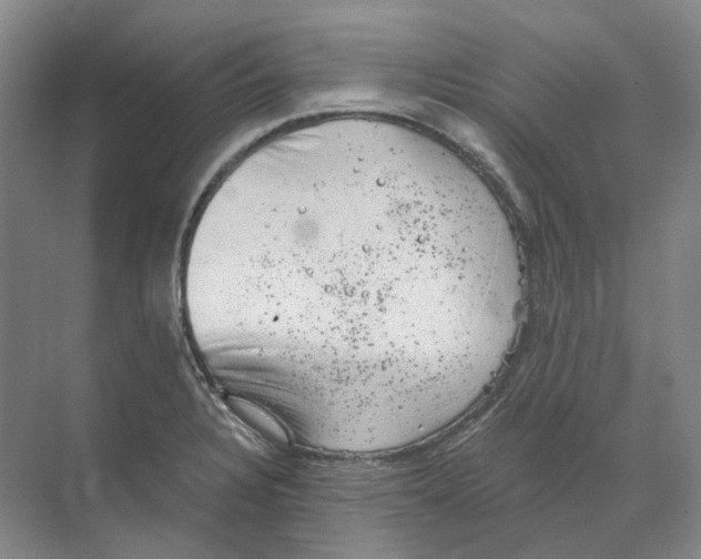 X0000068851328200606021725