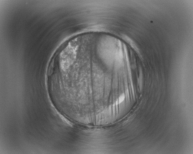 X0000068851334200606021725