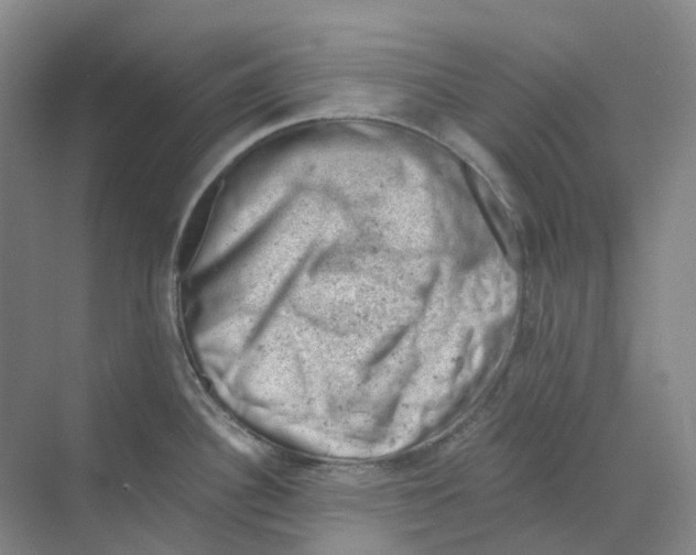 X0000068851340200606021725