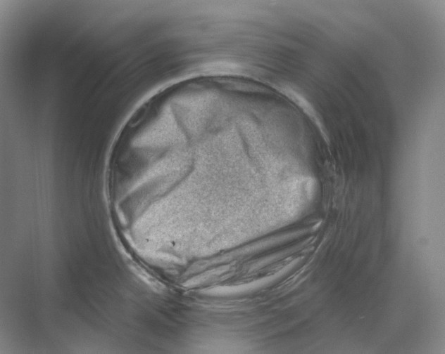 X0000068851342200606021725