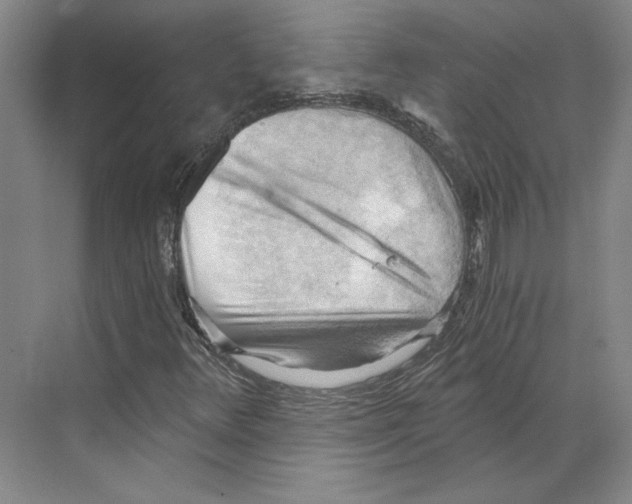 X0000068851348200606021724