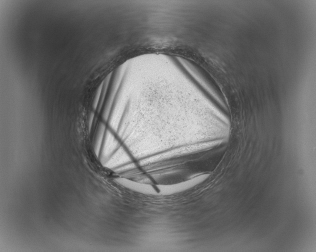 X0000068851349200606021724