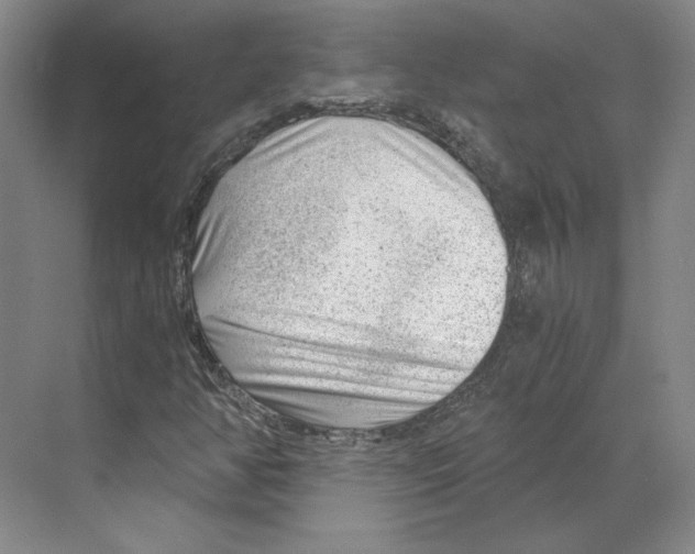 X0000068851350200606021724
