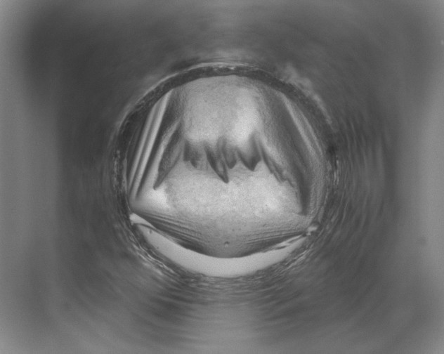 X0000068851352200606021724