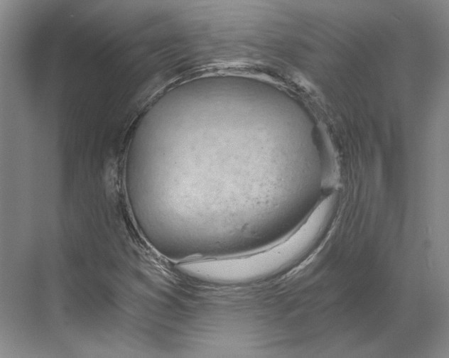 X0000068851353200606021724
