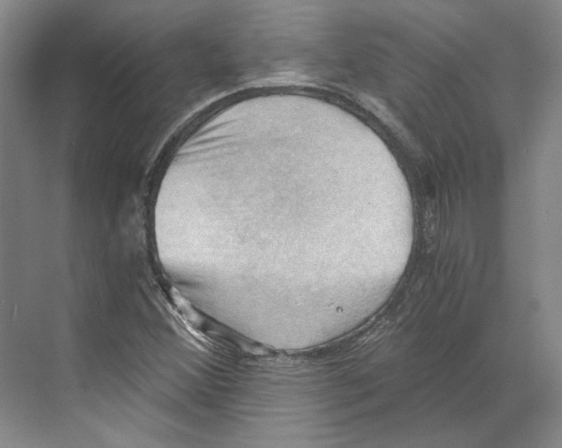 X0000068851356200606021724