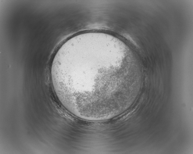X0000068851358200606021724