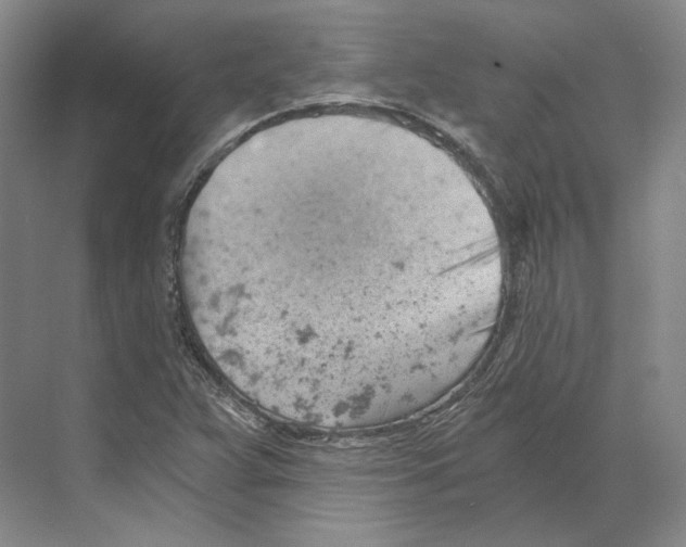 X0000068851359200606021724