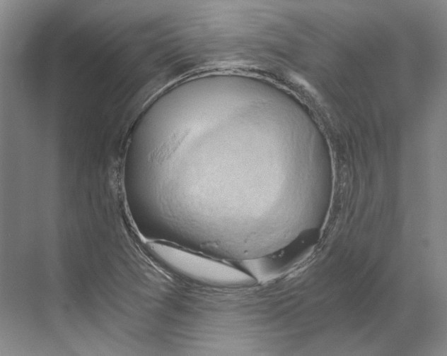 X0000068851361200606021724