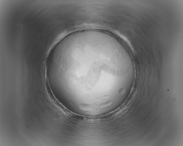 X0000068851365200606021724