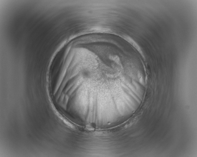 X0000068851381200606021723