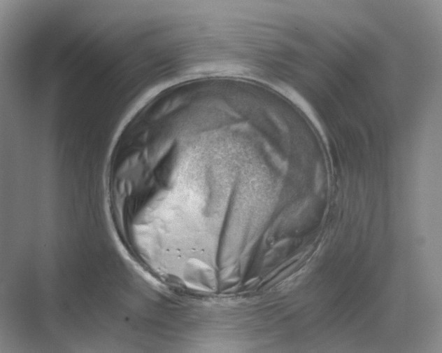 X0000068851389200606021723