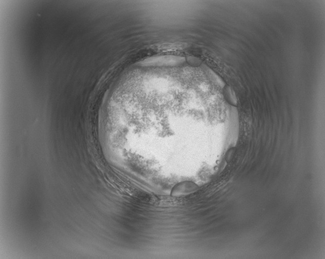 X0000068851393200606021722