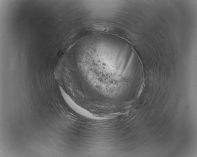 X0000068851394200606021722