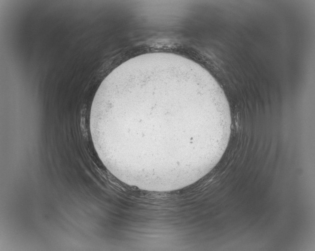 X0000068851396200606021722