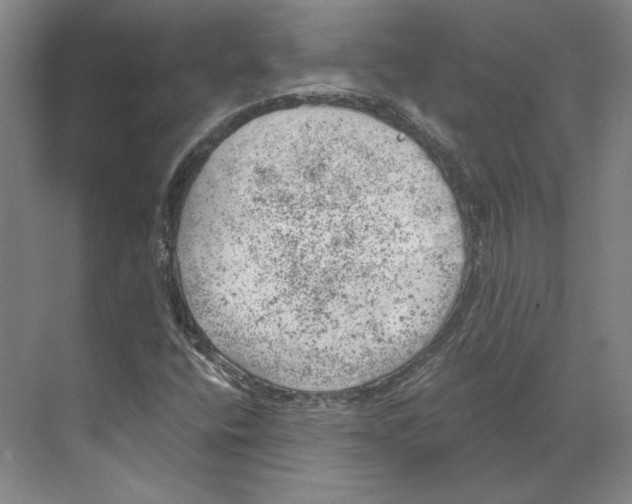 X0000068851400200606021723
