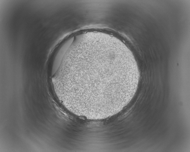 X0000068851406200606021723