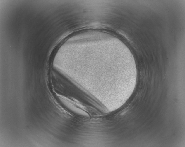 X0000068851410200606021723