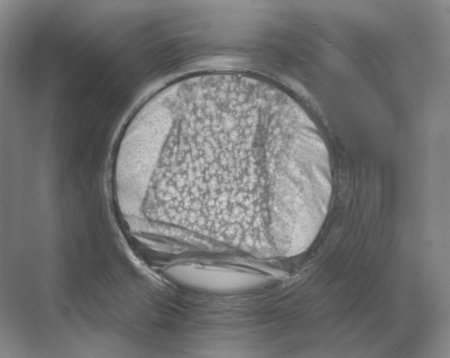 X0000068851421200606021723