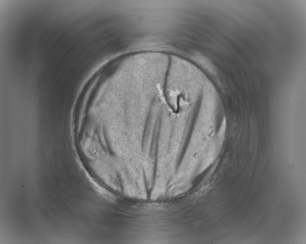 X0000068851430200606021723
