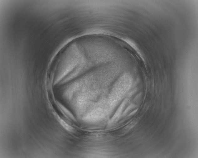 X0000068851438200606021723