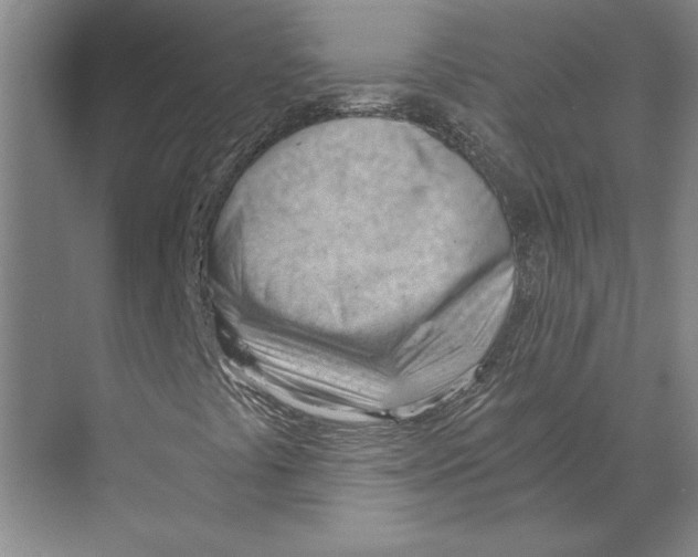 X0000068851441200606021722
