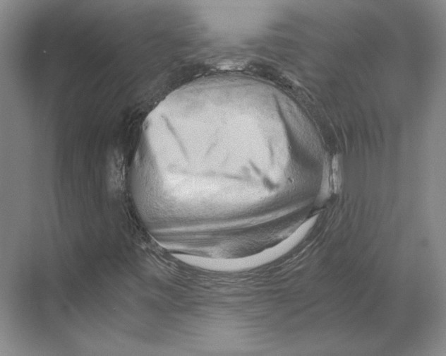 X0000068851443200606021722