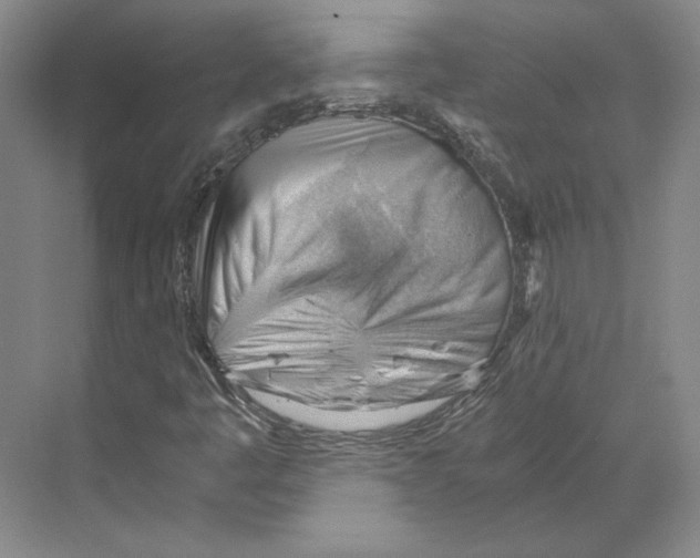 X0000068851445200606021722