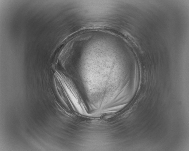X0000068851449200606021722